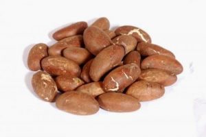 bitter kola (orogbo)