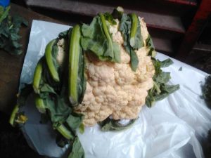 Buy cauliflower Nigeria