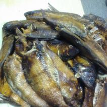Bonga Fish (Shawa)