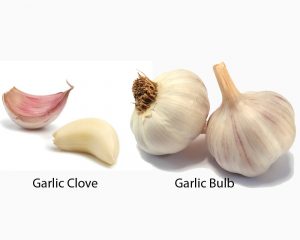how to store fresh garlic and ginger