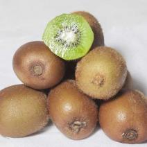 Kiwi Fruit