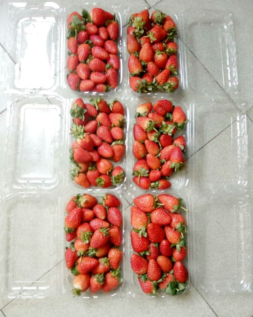 buy strawberry in Nigeria