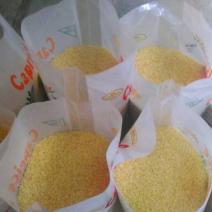 Bag Of Rice (Aroso)