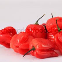 Atarodo pepper (Scotch Bonnet)