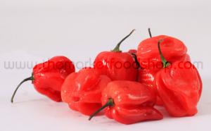 Atarodo pepper (Scotch Bonnet)