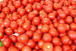 Fresh tomatoes