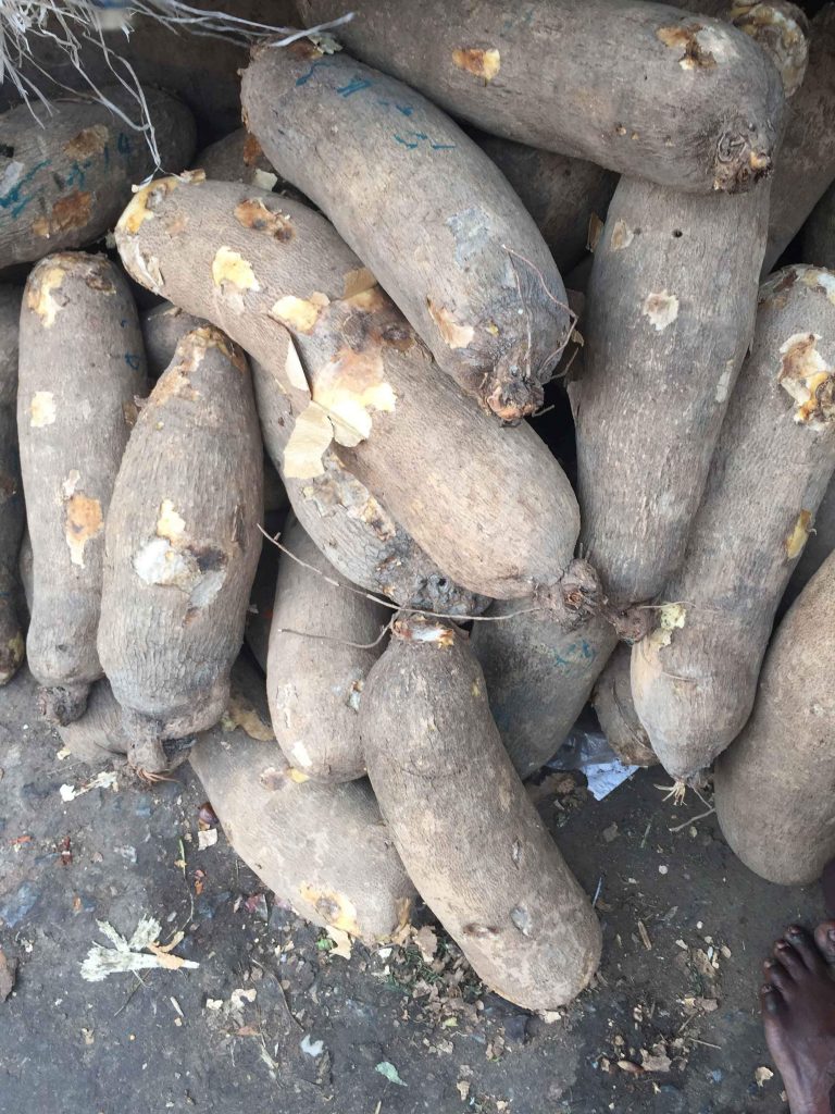 Buy yams in Nigeria